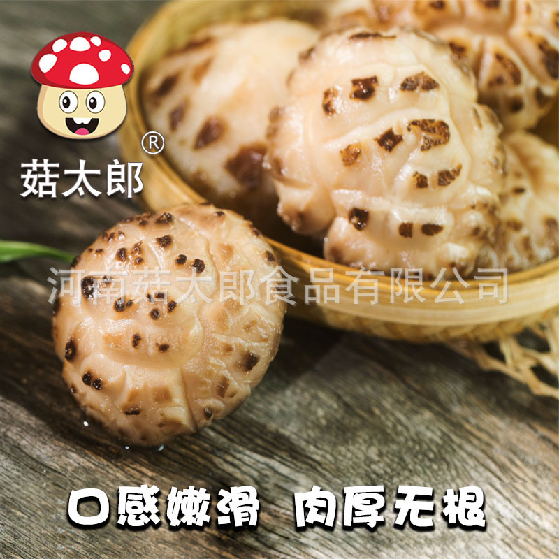 Dried whole shiitake mushroom wholesale price dried white flower shiitake mushroom high quality