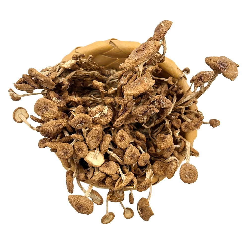 Factory Wholesale High Quality Dried Agrocybe aegerita Dried Tea Tree Mushroom Organic Food Dried Mushroom For Eating