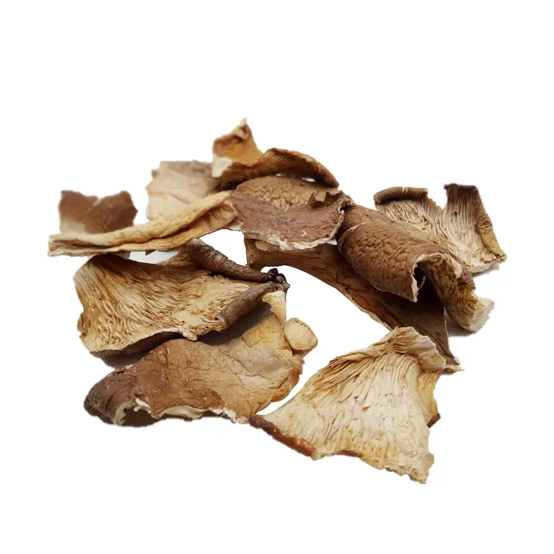 Factory Price Dried Pleurotus Ostreatus Oyster Mushroom Customize Oyster Mushroom Grow Kit Dehydrated Mushroom