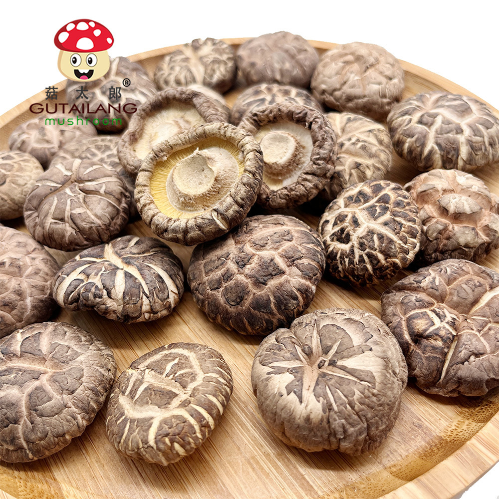 Factory Direct Dried Shiitake Flower Mushroom Plant Mushroom For Eating Dried Shiitake Flower Mushroom Sizes Customized