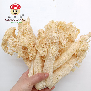 GUTAILANG quality dried bamboo fungus dried dictyophora/bamboo mushrooms