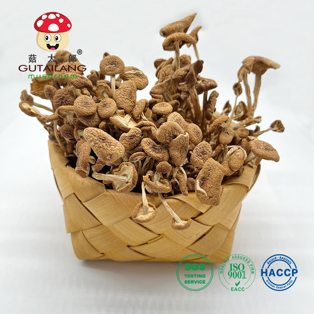 Factory Wholesale Dried Agrocybe aegerita Dried Mushroom For Eating Dried Tea Tree Mushroom Organic Food Customized Packaging