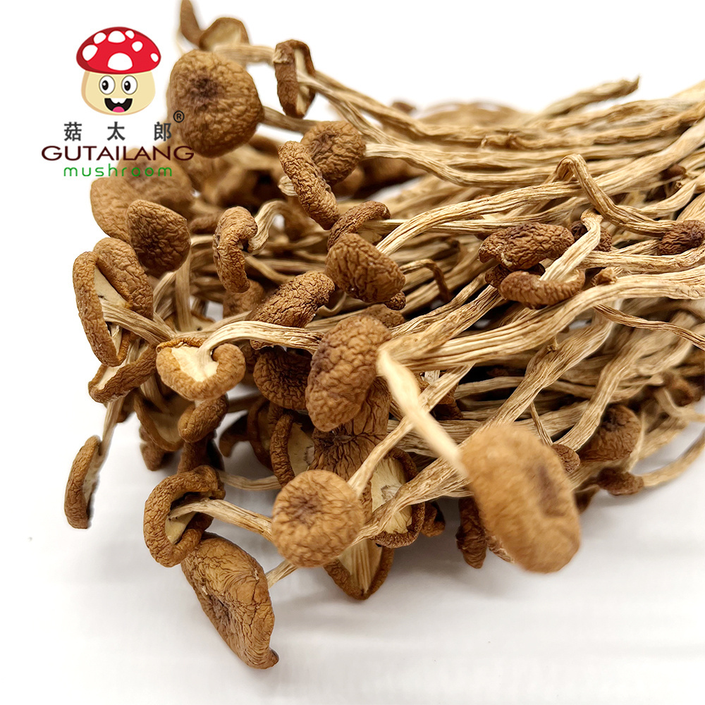 Factory Wholesale High Quality Dried Agrocybe aegerita Dried Tea Tree Mushroom Organic Food Dried Mushroom For Eating