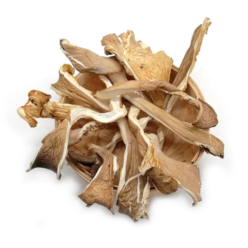 Factory Price Dried Pleurotus Ostreatus Oyster Mushroom Customize Oyster Mushroom Grow Kit Dehydrated Mushroom