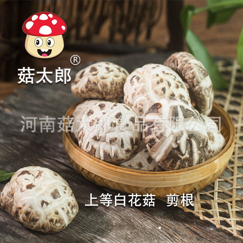 Dried whole shiitake mushroom wholesale price dried white flower shiitake mushroom high quality