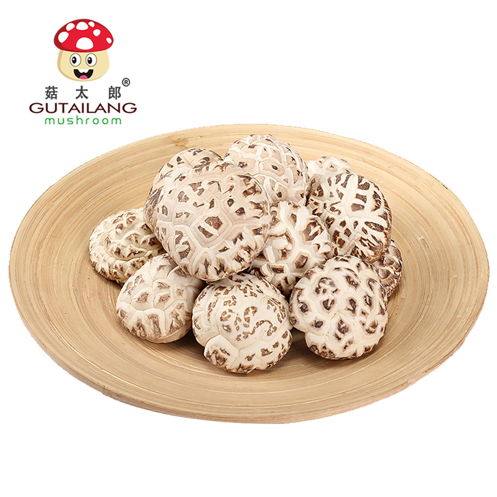 Factory Direct Dried White Flower Shiitake Mushroom Plant Mushroom Dried White Flower Shiitake Flower Mushroom Sizes