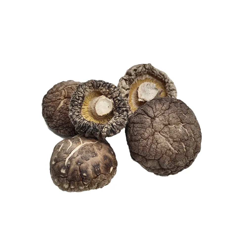 Factory Direct Dried Shiitake Flower Mushroom Plant Mushroom For Eating Dried Shiitake Flower Mushroom Sizes Customized