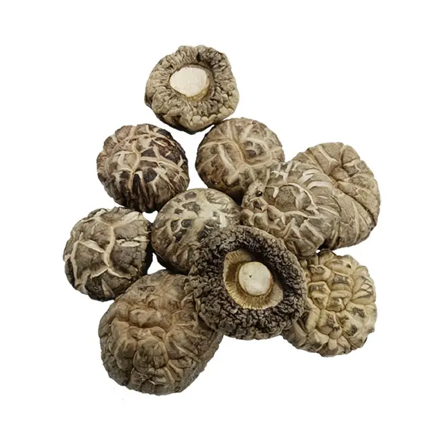 Factory Direct Dried Shiitake Flower Mushroom Plant Mushroom For Eating Dried Shiitake Flower Mushroom Sizes Customized