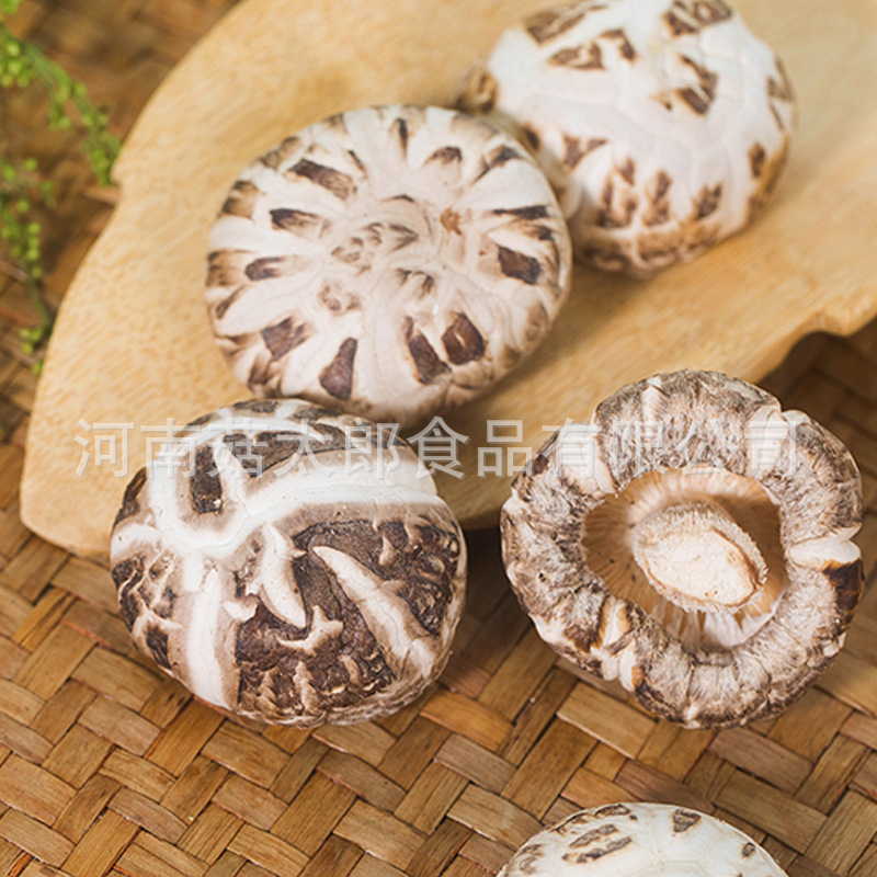 Dried whole shiitake mushroom wholesale price dried white flower shiitake mushroom high quality