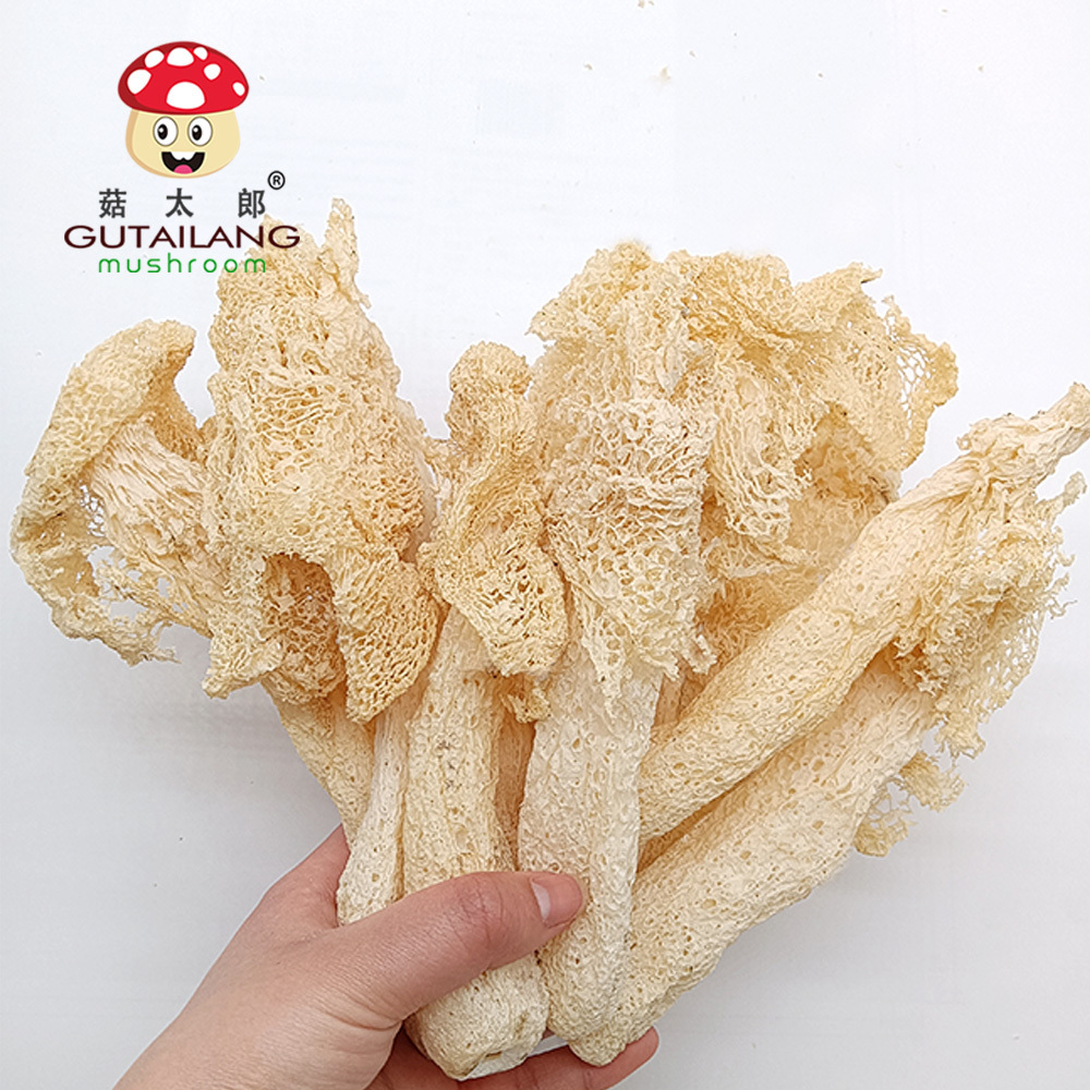 High Quality Wholesale Dried Dictyophora Dried Mushroom Customized Dried Bamboo fungus Dictyophora Mushroom Dictyophora eggs