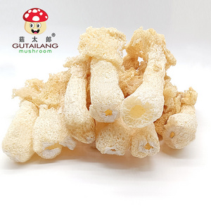 High Quality Wholesale Dried Dictyophora Dried Mushroom Customized Dried Bamboo fungus Dictyophora Mushroom Dictyophora eggs