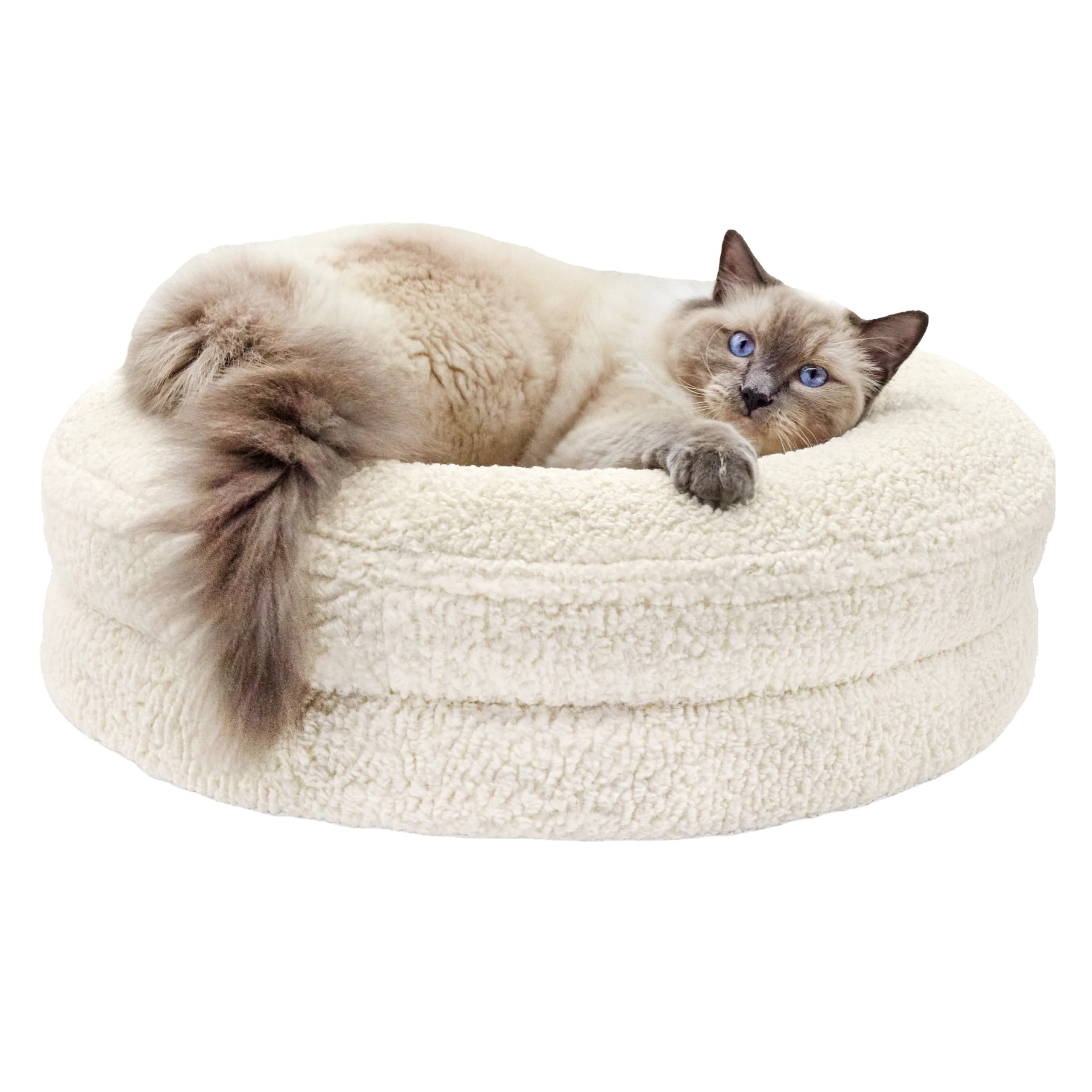 High Quality Cat Nest with Milk Cream Boucle Cover Pet Cushion Memory Foam Luxury Design CatStreet Pet Dog Cat Bed