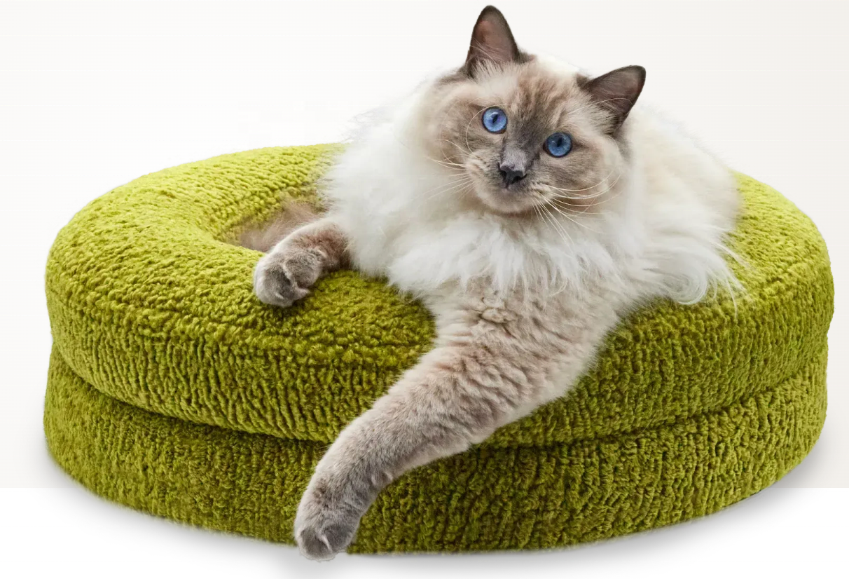 High Quality Cat Nest with Milk Cream Boucle Cover Pet Cushion Memory Foam Luxury Design CatStreet Pet Dog Cat Bed