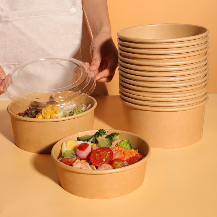 Heatable Plates Bowls 520cc Paper Bowl