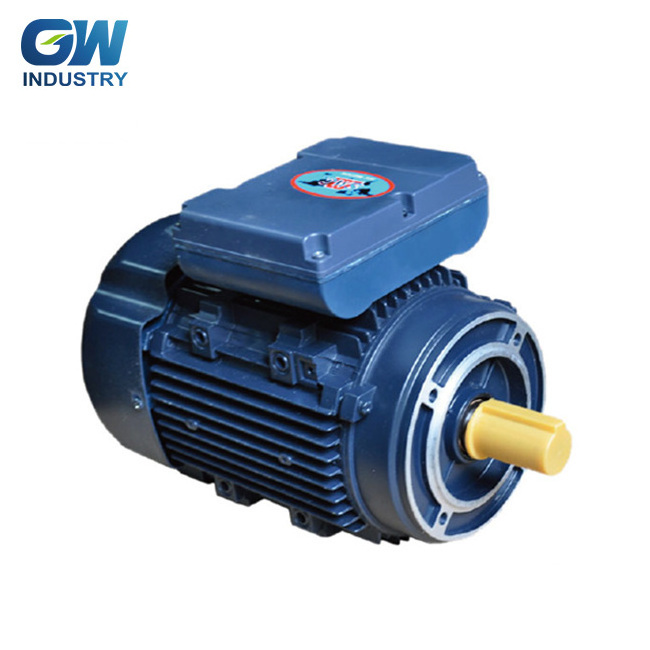 GW IEC single phase fractional horsepower asynchronous motor