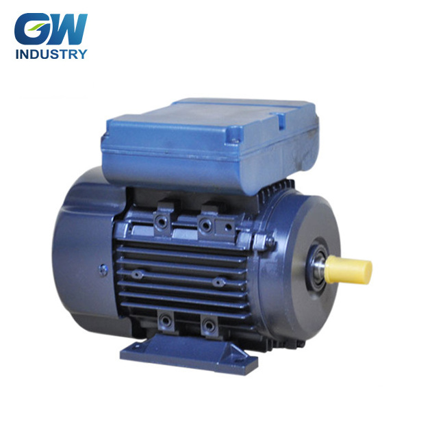 GW IEC single phase fractional horsepower asynchronous motor