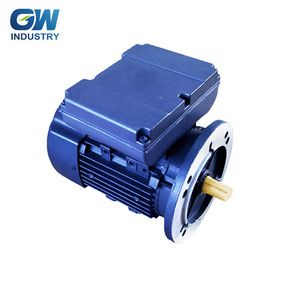 GW IEC single phase fractional horsepower asynchronous motor