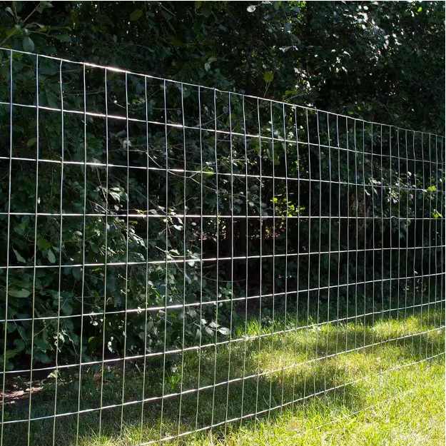 Manufacturers Direct Selling Galvanized Stainless Steel Welded Wire Mesh 15m Length Per Roll Welded Wire Mesh