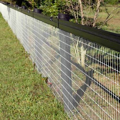 Competitive Price Good Quality Galvanized Wire Mesh Farm  Fence Panels 4x4 Welded Wire Mesh Panel Chicken Cage