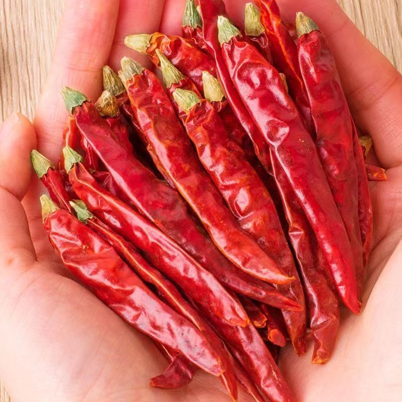 Sichuan Dried Red Pepper Chili Powder Pepper Stick 100% Natural Spicy Spice Dry Red AD Raw Guangxi Single Herbs & Spices 25 Kg