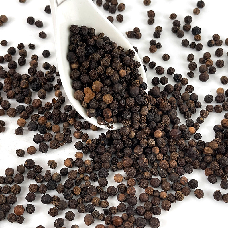 Wholesales Bulk Pure Black Pepper Powder 100%Natural Cheap Black Pepper 550 GL MC China Spices And Herbs Black Peppercorn