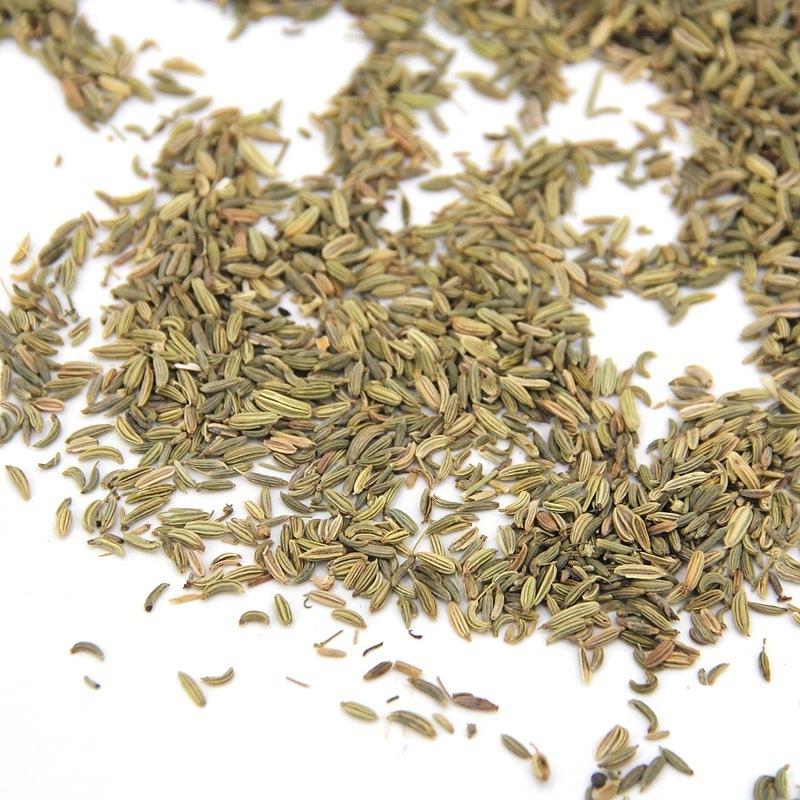 High Quality Low Price Fennel Natural AD Spice Fennel Seed Premium Barbecue, Hot Pot Seasoning Dried Spice Green Fennel Seeds