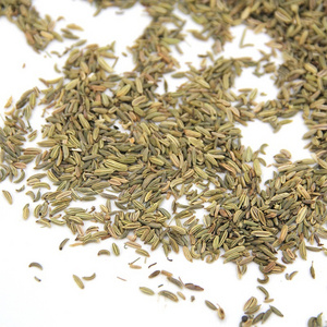 High Quality Low Price Fennel Natural AD Spice Fennel Seed Premium Barbecue, Hot Pot Seasoning Dried Spice Green Fennel Seeds