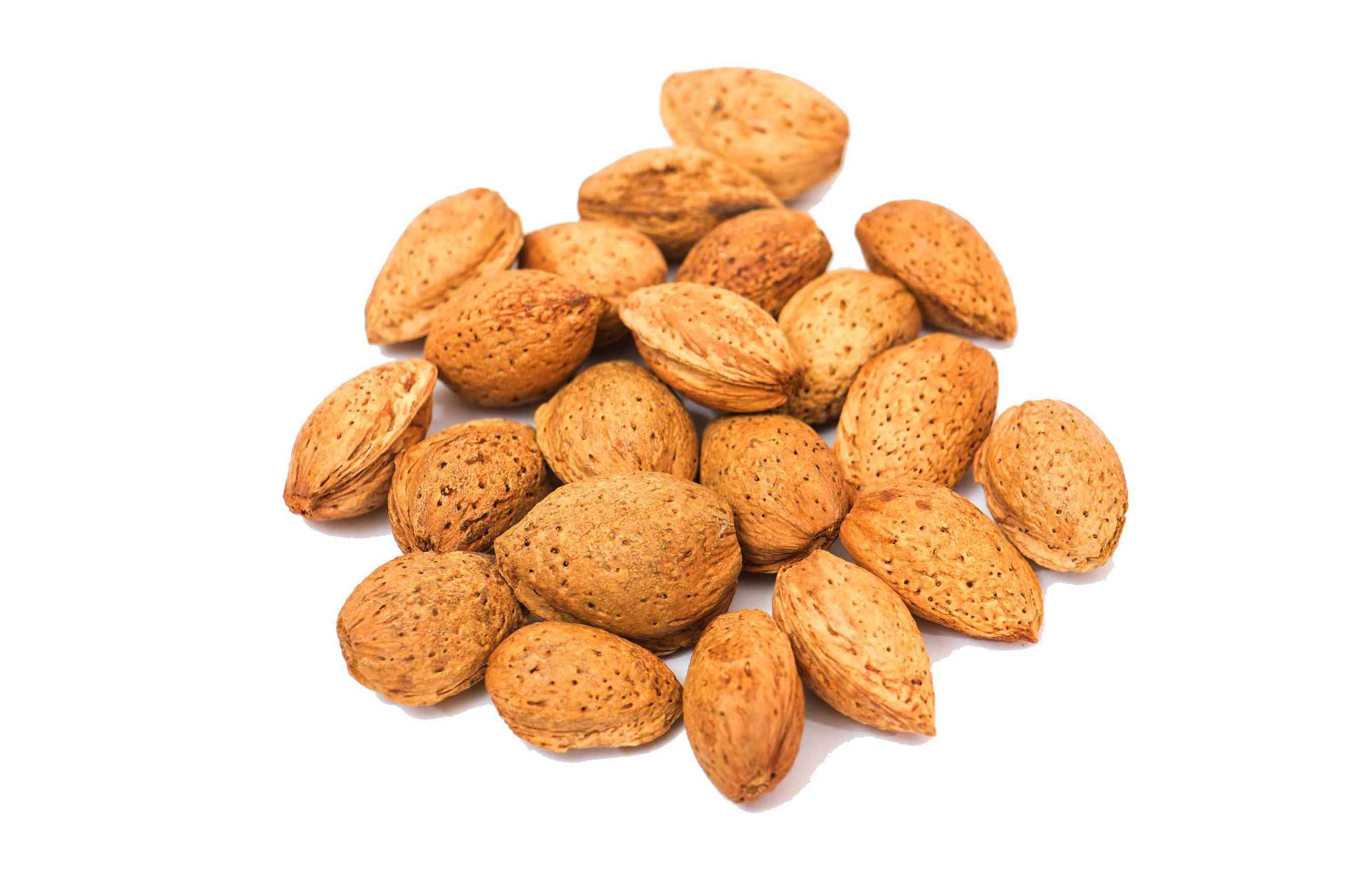 Supply High-Quality Shelled Natural Delicious Almonds At Wholesale Prices Nut Food