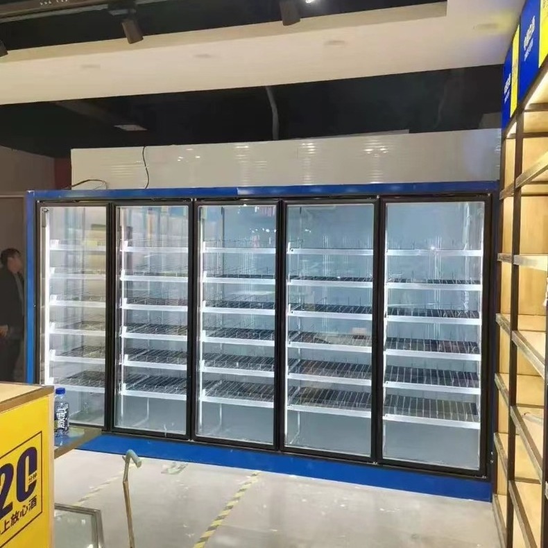 High quality walk in freezer cooler doors cold storage beer cave glass door with shelves