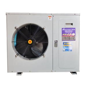 4HP Commercial Industrial Condensing unit box-type side blower 2 fans condensing unit for cold room