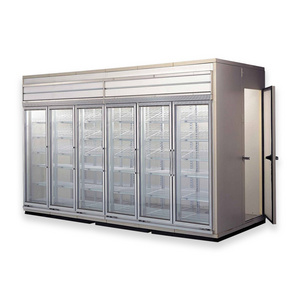 High quality walk in freezer cooler doors cold storage beer cave glass door with shelves