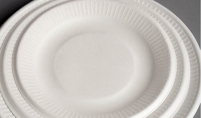 Eco friendly compostable biodegradable sugarcane paper plates 10 inch bagasse disposable paper plate