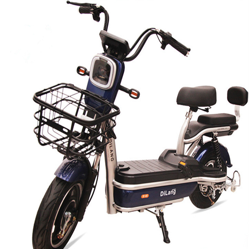 2021 electric bicycle 48V adult bicicleta electrica