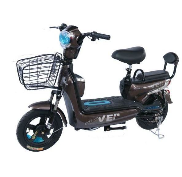 New fashion 48v 12a battery 350w motor two wheel electric bike