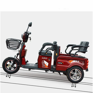 china hot sell  Adults e trike 3 Wheel Cargo Bike Passenger Motorcycle Adult Electric Tricycles with roof