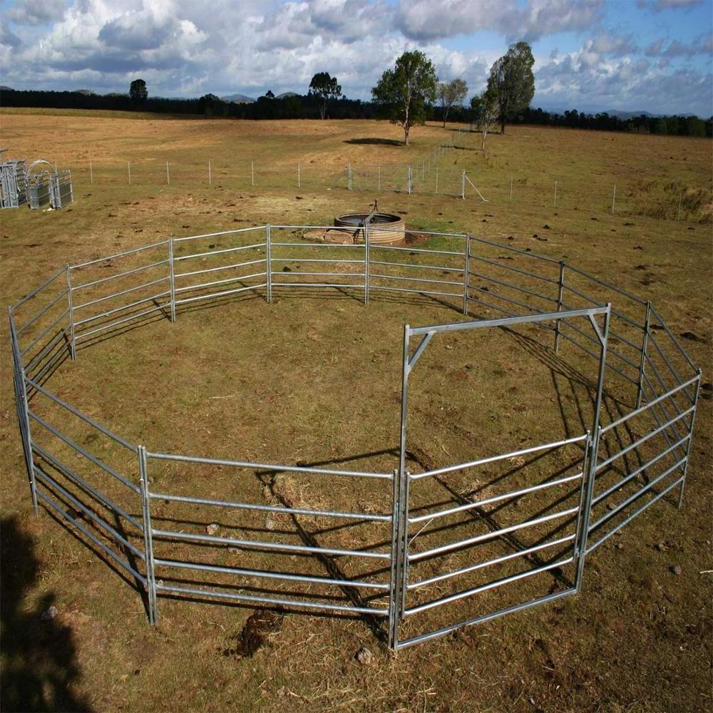 Easily Assembled 16ft Welded Bull Pen Oval Livestock Cattle Panels Used Corral Fence for Horses Cows Sheep for Sale