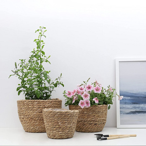 Eco-friendly Seagrass Hanging Planter Basket Indoor Plant Pots with Waterproof Plastic Liner Made in Vietnam