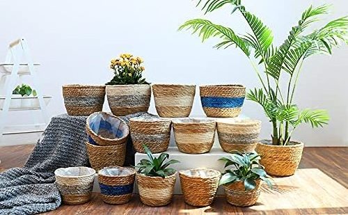 Eco-friendly Seagrass Hanging Planter Basket Indoor Plant Pots with Waterproof Plastic Liner Made in Vietnam