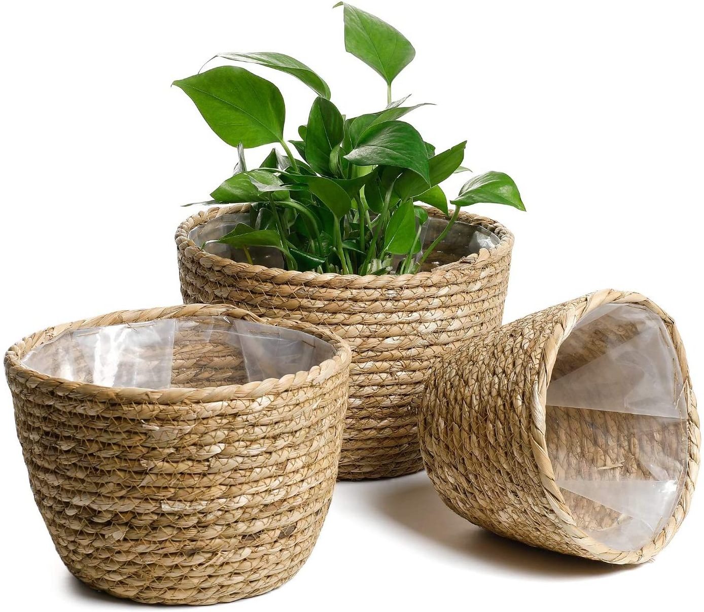 Eco-friendly Seagrass Hanging Planter Basket Indoor Plant Pots with Waterproof Plastic Liner Made in Vietnam