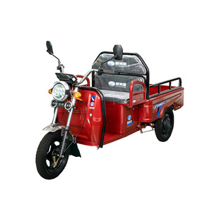 ZMX Fengping  Hot sale factory direct three wheel electric tricycle farming tricycle adult big wheel tricycle