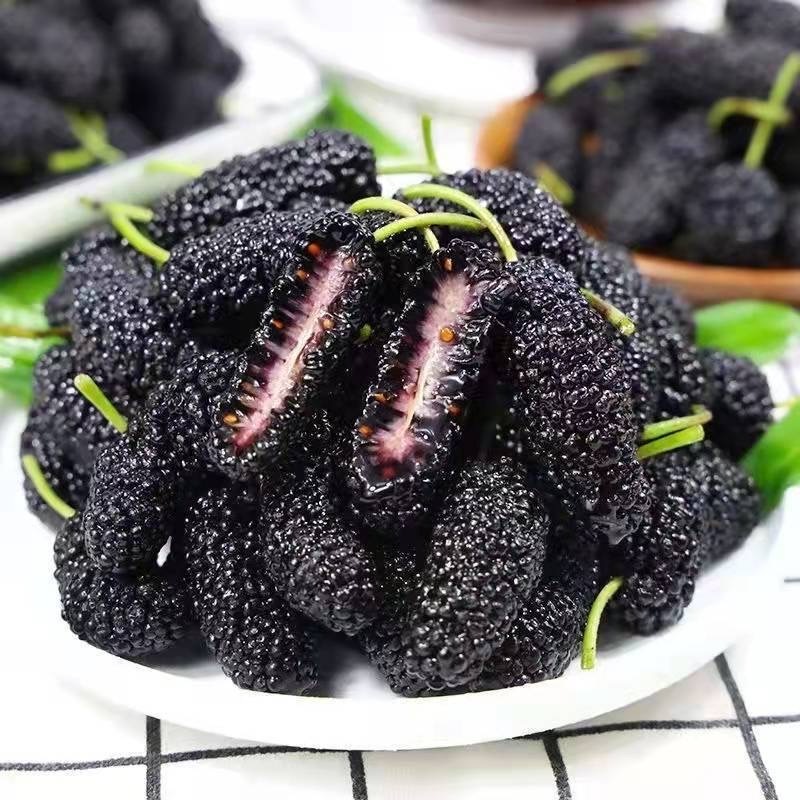 Wholesale Mulberry Fruit Tea No Additives High Quality Natual Dried Black Mulberry Fruits