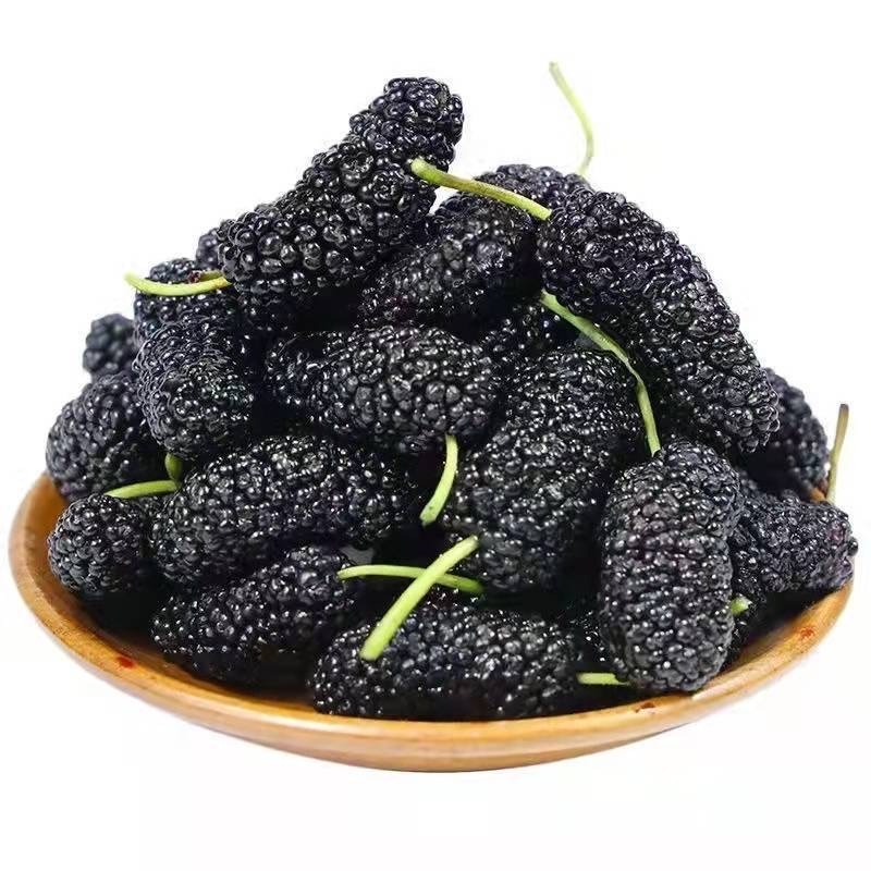 Wholesale Mulberry Fruit Tea No Additives High Quality Natual Dried Black Mulberry Fruits