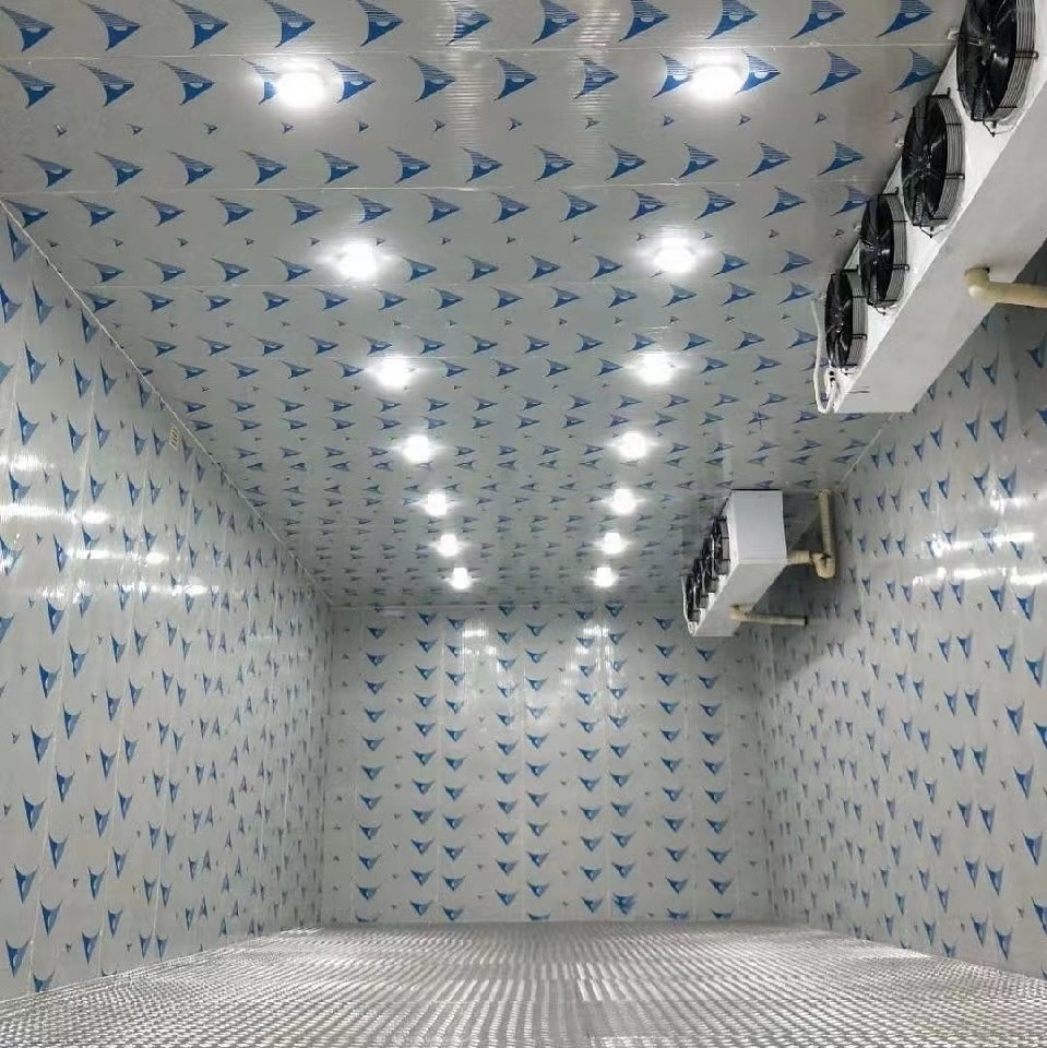 Custom Made Size Walk In Cold Room For Ice Cream Cold Storage With Cooling System