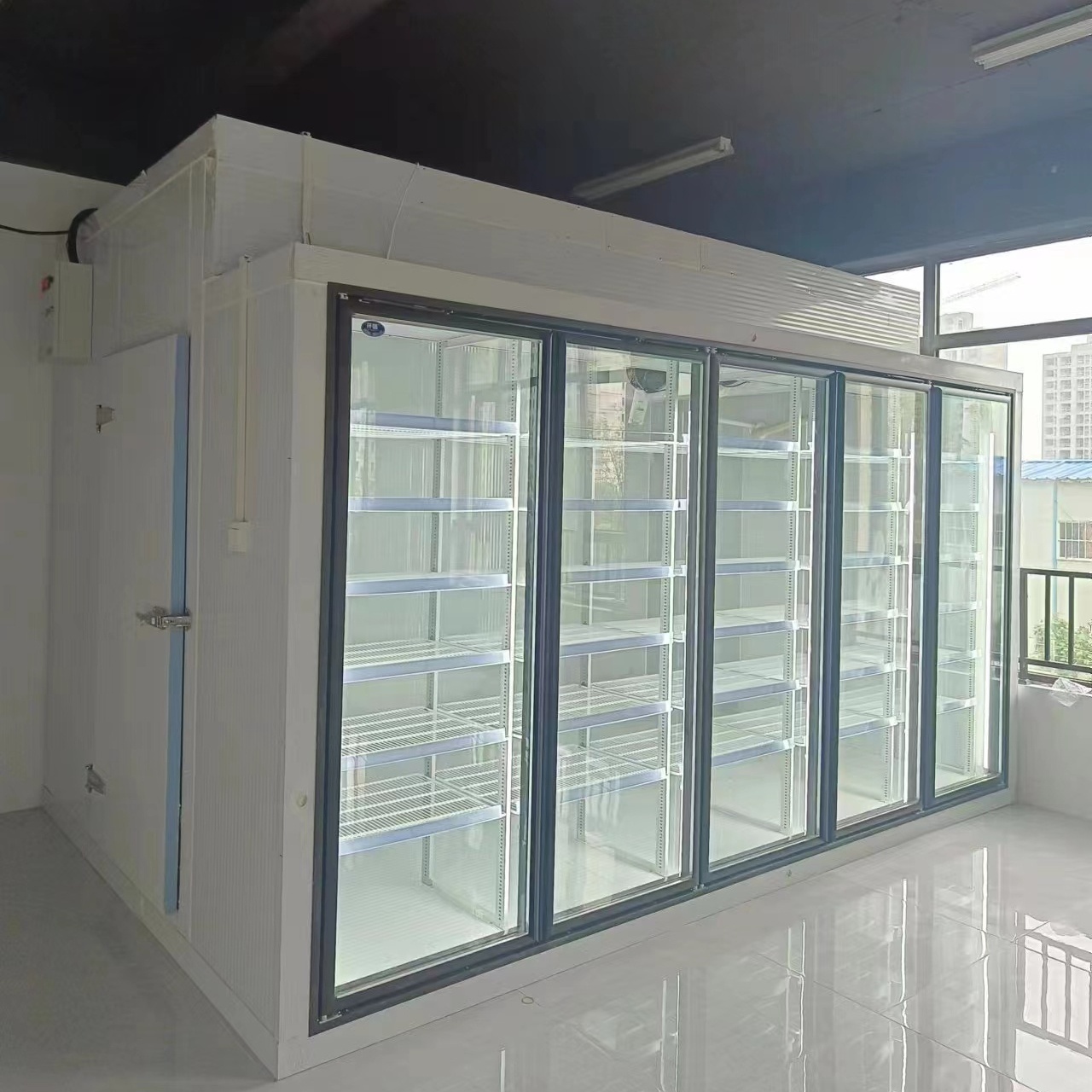 Display Walk in Cooler Glass Cold Room with Glass Door