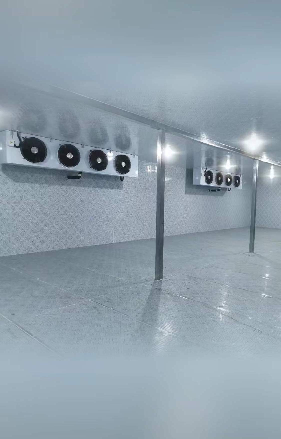 Cold Room Cold Storage Room Freezer Room Turnkey Refrigeration for Meat/Vegetables/Fish/Fruit