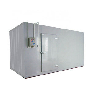 Custom Made Size Walk In Cold Room For Ice Cream Cold Storage With Cooling System