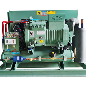 Single Phase Gas R404 Refrigeration Compressor 25hp 20hp 30hp 15hp 12hp 10hp Freezer Cold Room Industrial Condensing Units