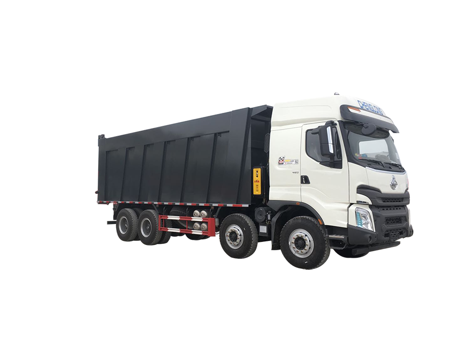 Special Price For Brand New Heavy Duty Muck Mining Dongfeng Shacman 6X4 Tipper Dump Trucks For Sale