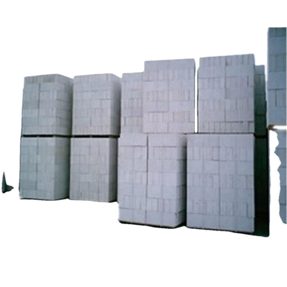 Hebel Bricks AAC Blocks Making Produce Factory Machinery From Manufacturer