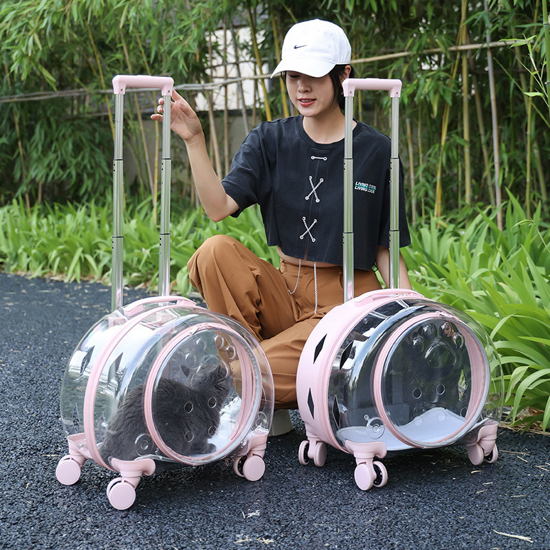 high quality pet supplies Fashion Portable Clear View Trolley Dog Cat House Travel Backpack Trolley Pet Carrier